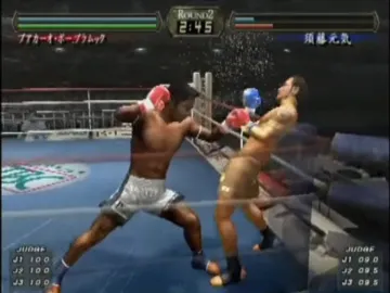 K-1 World GP 2005 (Japan) screen shot game playing